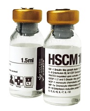 HS-CM100